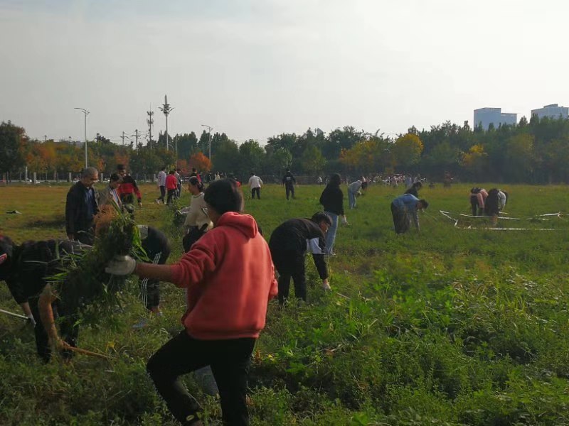 员工党员义务除草