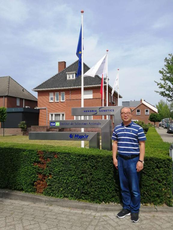 访问世界著名育种企业汉德克斯育种集团&海波尔公司,考察世界育种公司种猪育种方向