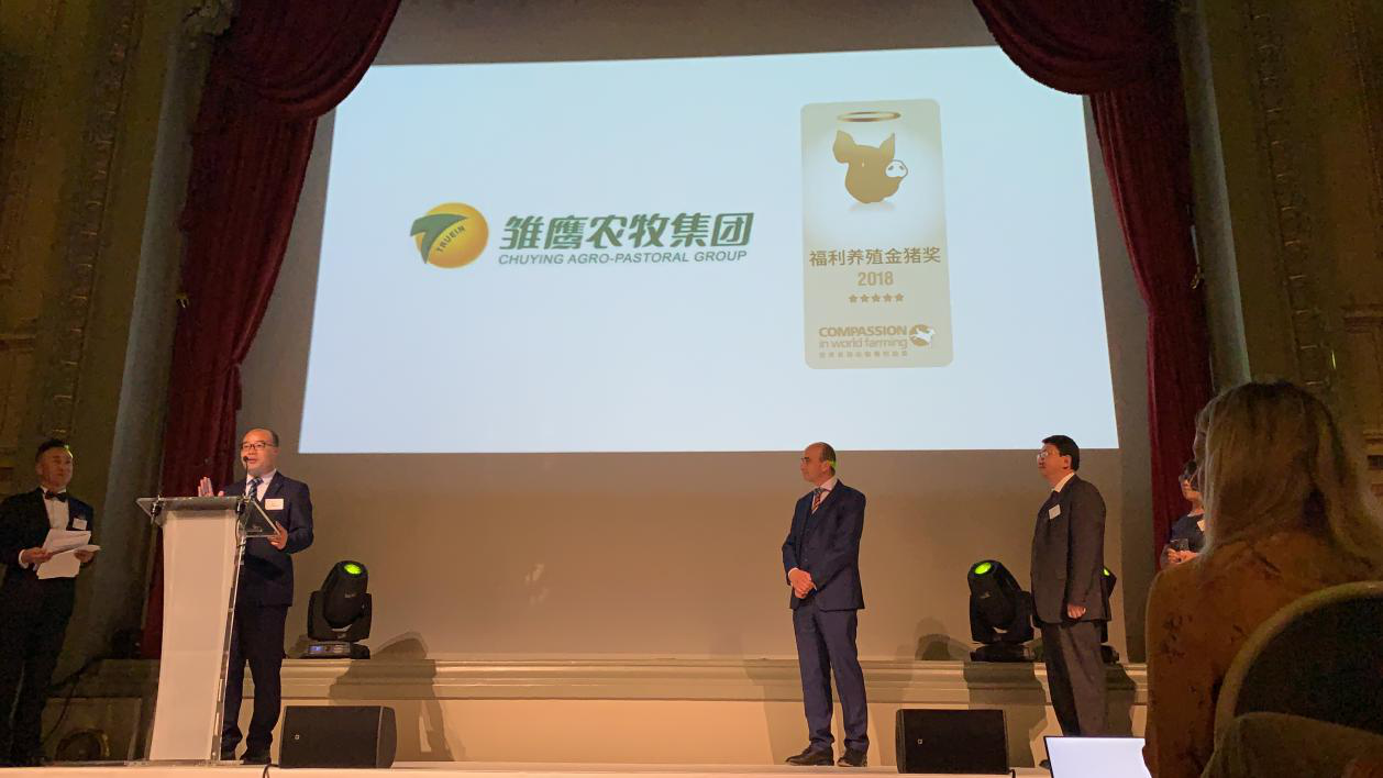 赵广伟博士代表企业发表演讲动物福利养殖的未来