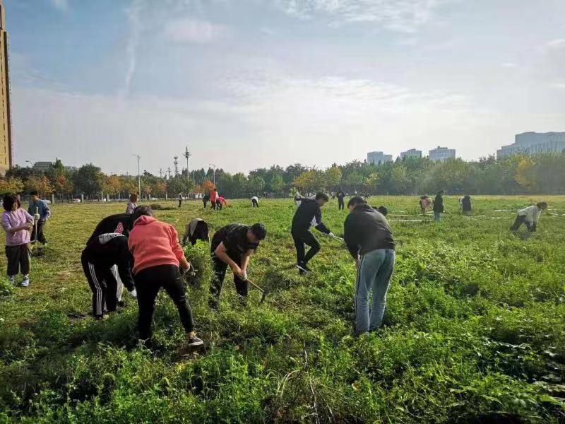 员工党员义务除草